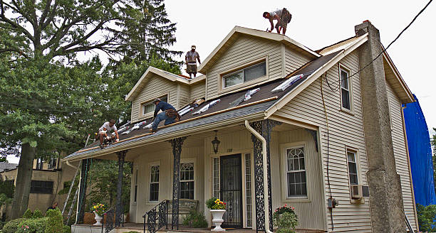Best New Roof Installation  in Columbia, IL