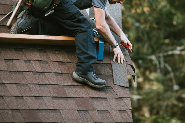 Professional Roofing Contractor in Columbia, IL